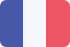 SMS verificato da Google Francia