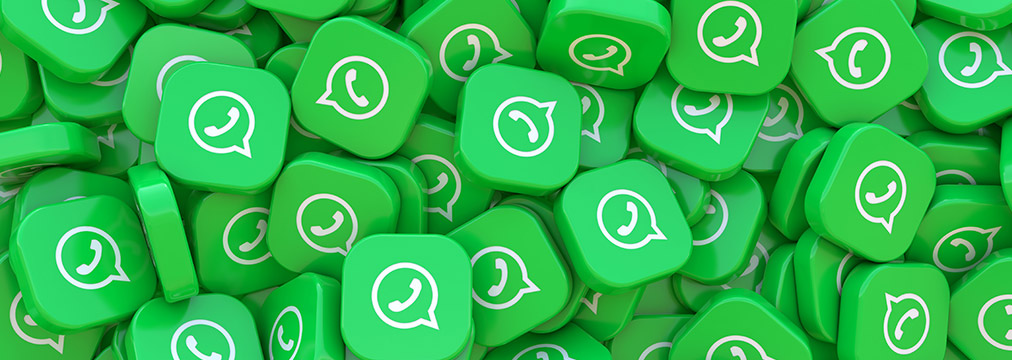  WhatsApp massivo